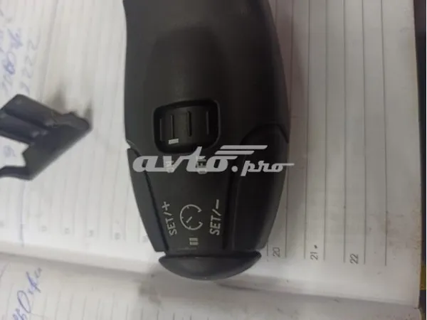  96538213XT Peugeot/Citroen