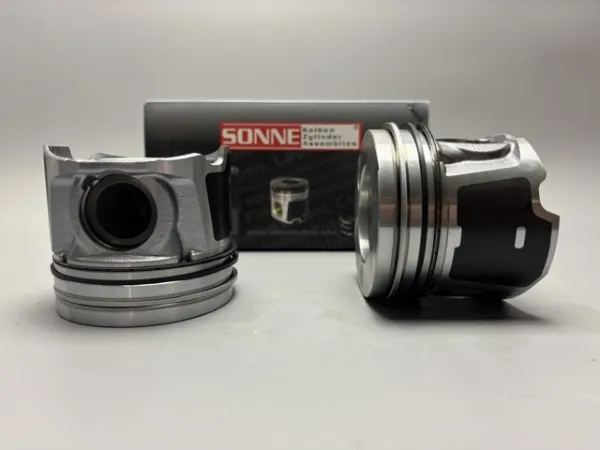  021PI00113002 Mahle Original