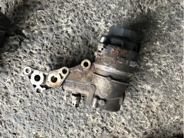  1560938030 Toyota