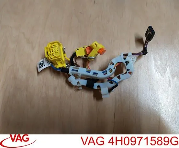  4H0971589G VAG