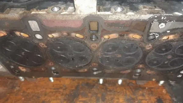  55231550 Fiat/Alfa/Lancia