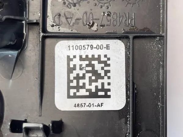  110057900E Tesla