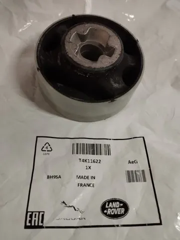  T4K11622 Jaguar