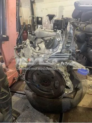  AJ813164 Jaguar