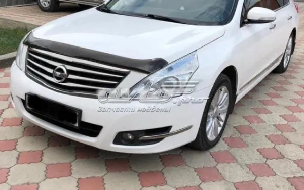 Мухобійка Nissan Teana 