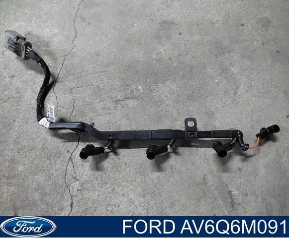  AV6Q6M091 Ford