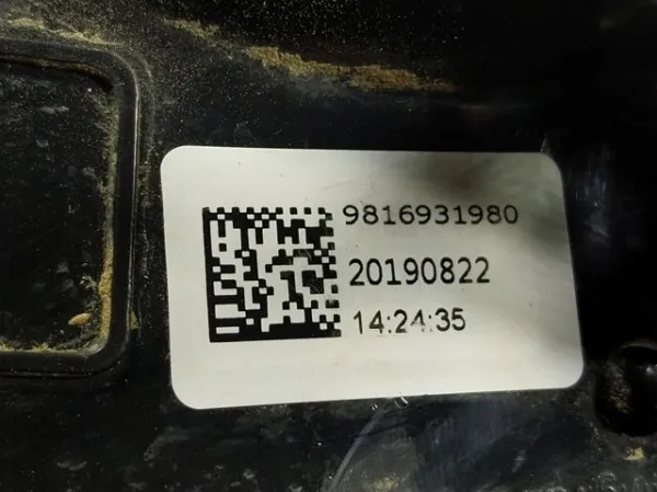  9816931980 Peugeot/Citroen