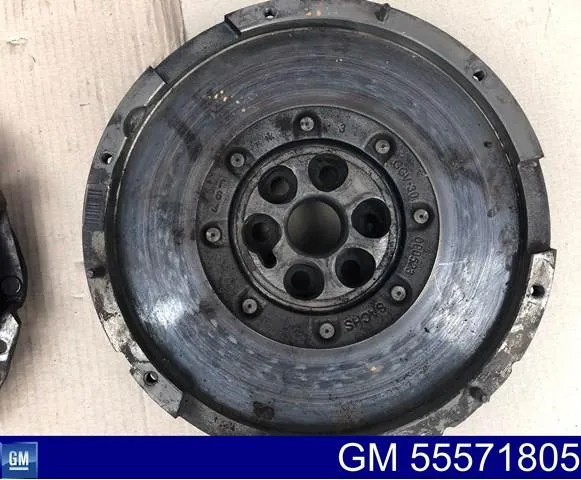 Зчеплення 55571805 General Motors