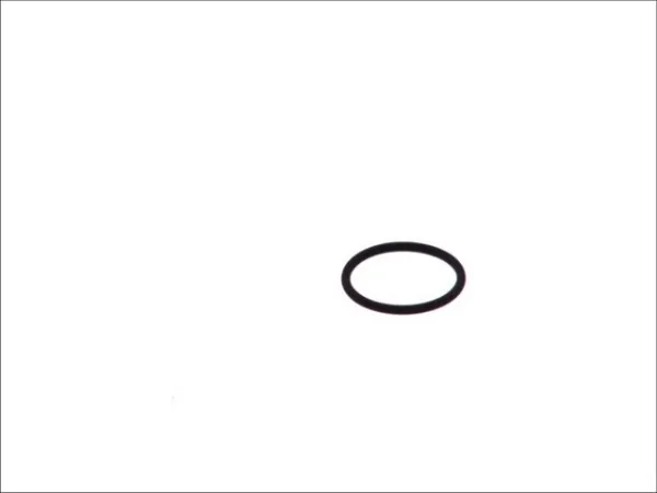 Прокладка паливного насосу ПНВТ F00VD38010 Bosch