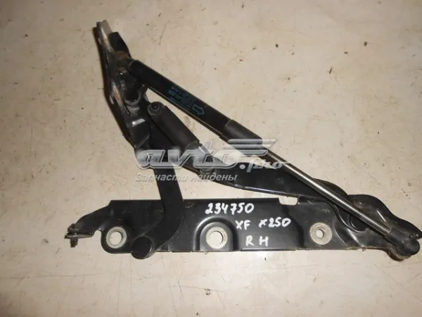  C2Z18289 Jaguar
