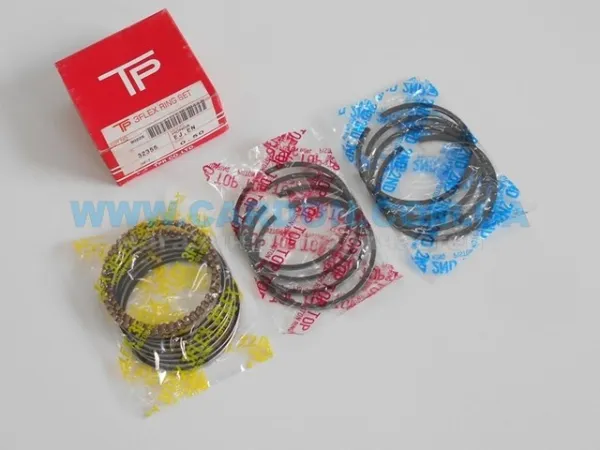  32355050 TPR