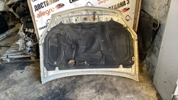 Капот 93189108 General Motors