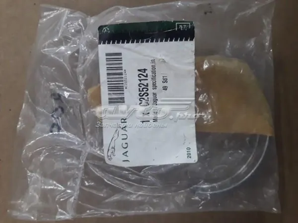  XR852357 Jaguar
