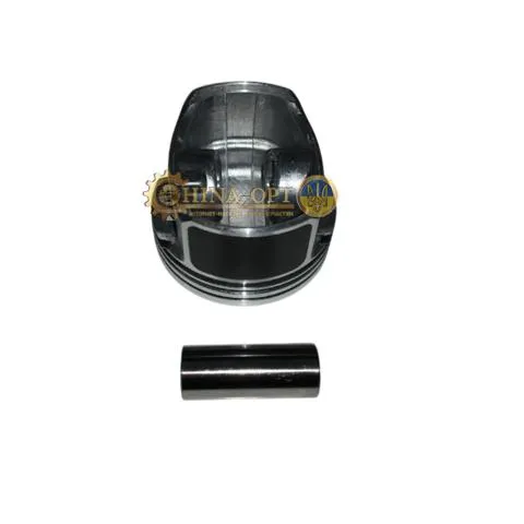  477F1004020CA Geely