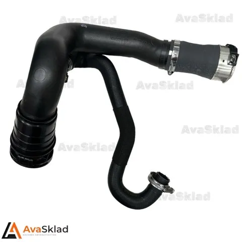  T2H9508 Jaguar