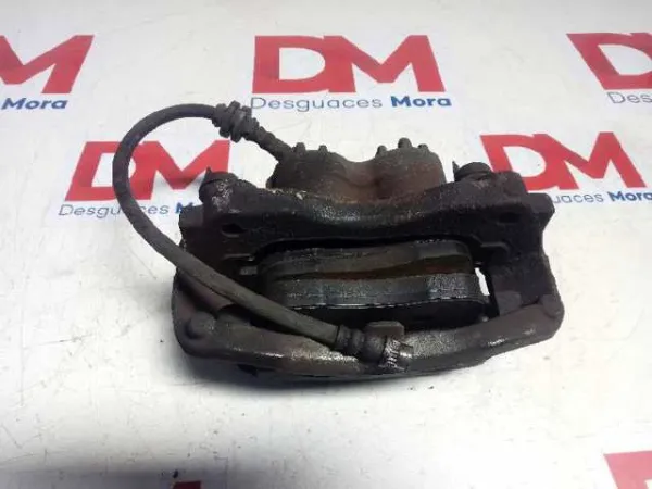  410105039R Renault (RVI)