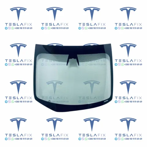  171564900G Tesla