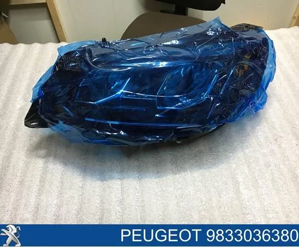  90200109 Peugeot/Citroen