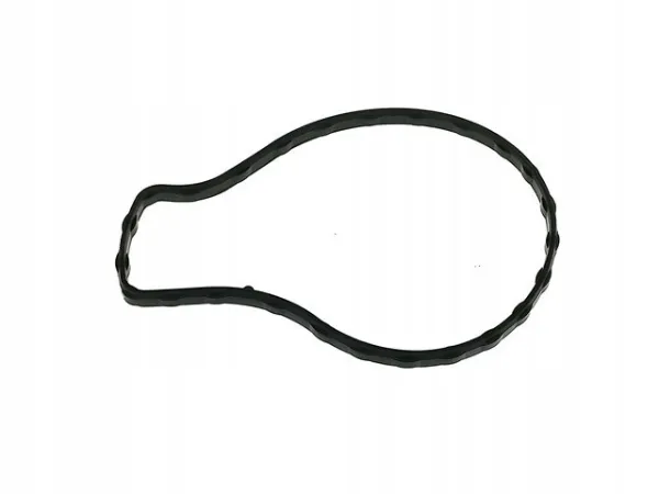 Прокладка водяної помпи Toyota RAV4 IV