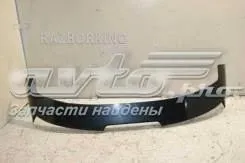  960300005R Renault (RVI)