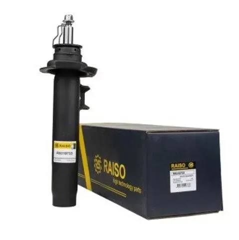 Амортизатор передній RS319733 Raiso