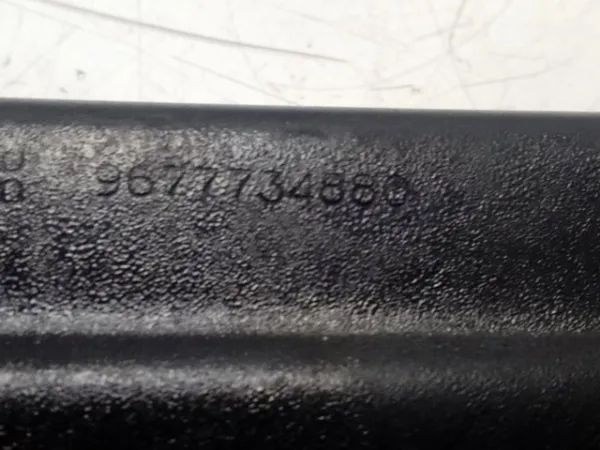  9678189880 Peugeot/Citroen