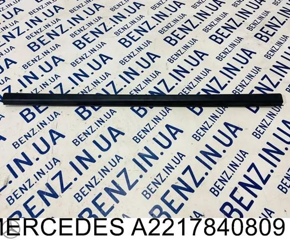  A2217840809 Mercedes