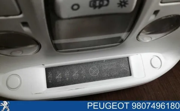  9807496180 Peugeot/Citroen