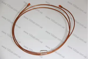 WP1624 WP