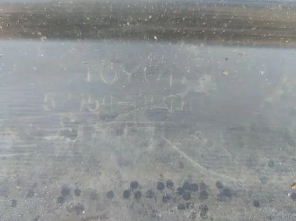 Задній бампер 5215905110 Toyota