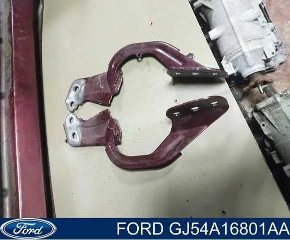  GJ54A16800AA Ford