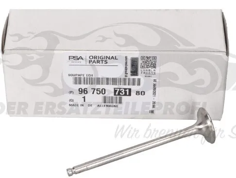  9675073180 Peugeot/Citroen