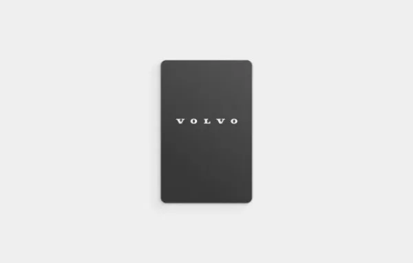 Ключ замка запалювання 80001529 Volvo