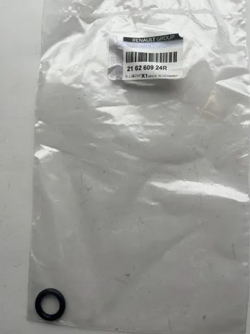  216260924R Renault (RVI)