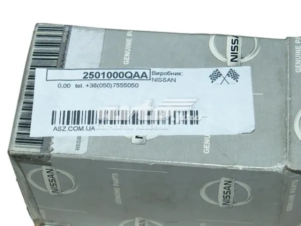 2501000QAA Nissan/Infiniti