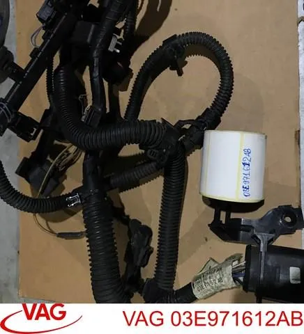 Джгут проводів моторного відсіку 03E971612AB VAG