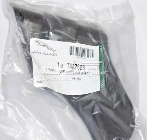  T4A7698 Jaguar