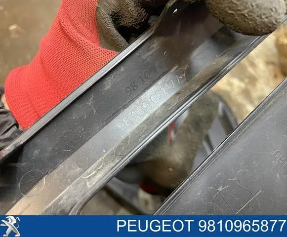  9810965877 Peugeot/Citroen