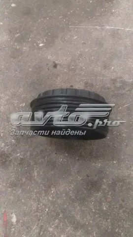  6790839430 Renault (RVI)