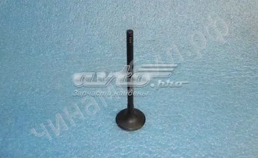  481H1007011CA Chery