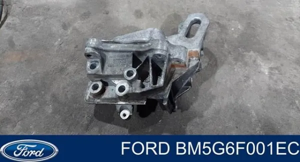  BM5G6F001EC Ford