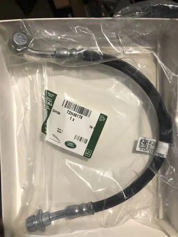  T2H49179 Jaguar