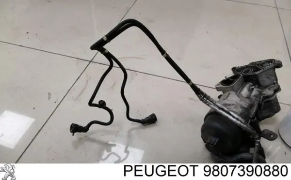  9807390880 Peugeot/Citroen