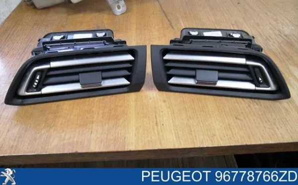  1303823XZD Peugeot/Citroen