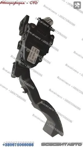  6PV00811900 Renault (RVI)