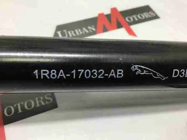  XR826367 Jaguar