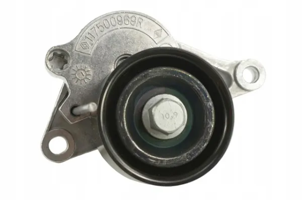 Ремінь приводний, агрегатів, комплект 117202245R Renault (RVI)