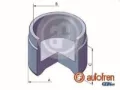 Поршень супорту гальмівного, заднього AUTOFREN D025587