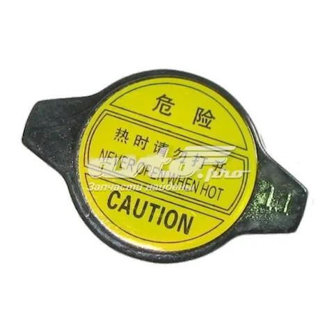  1006686600 BYD