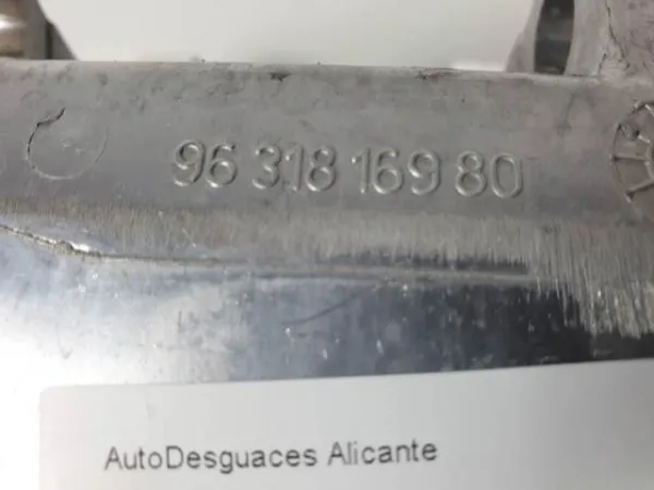  9631816980 Peugeot/Citroen